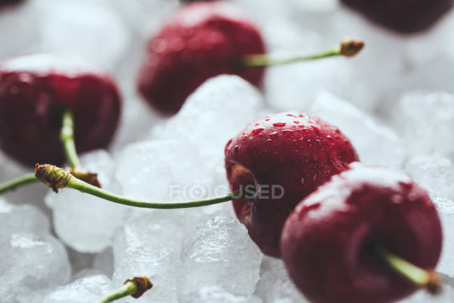 Delicious sweet cherries on ice — Stock Photo