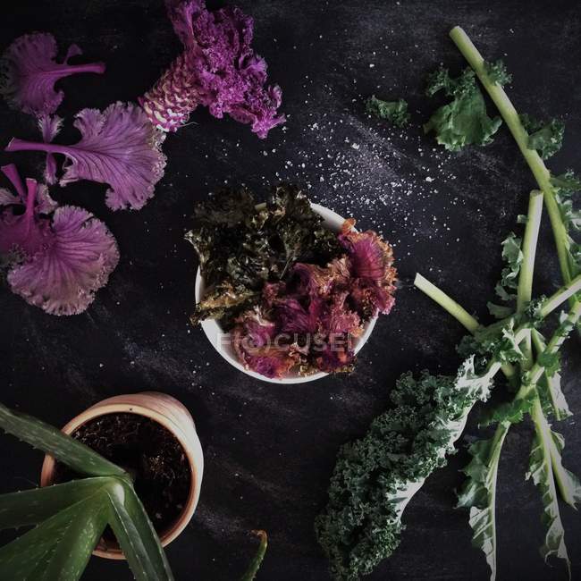 Барвистий салат з листям — стокове фото