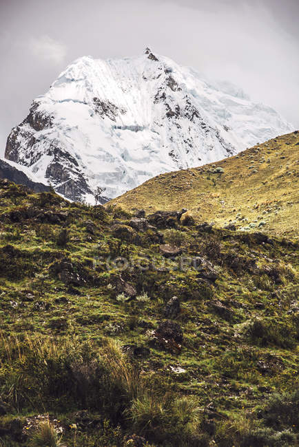 Belle montagne enneigée — Photo de stock