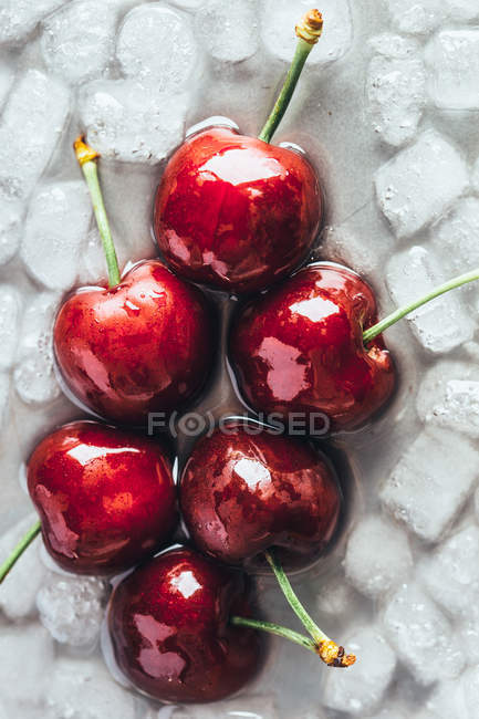 Cerezas dulces sobre hielo derretido - foto de stock