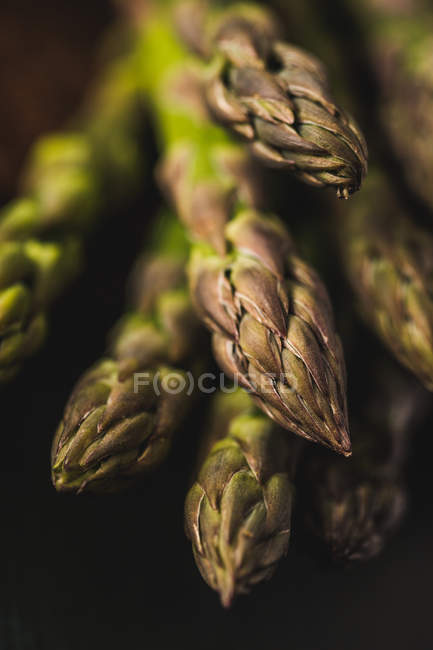 Fresh Asparagus Spears — Stock Photo