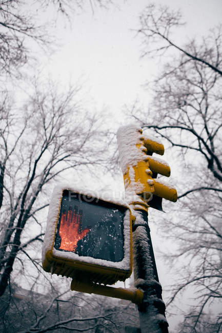Traffic light at foggy winter day — Stock Photo