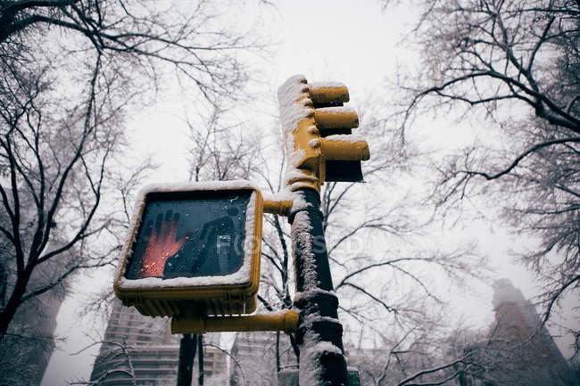 Semáforo no dia nebuloso do inverno — Fotografia de Stock