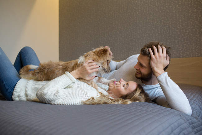Пара погладжує собаку на дивані — стокове фото