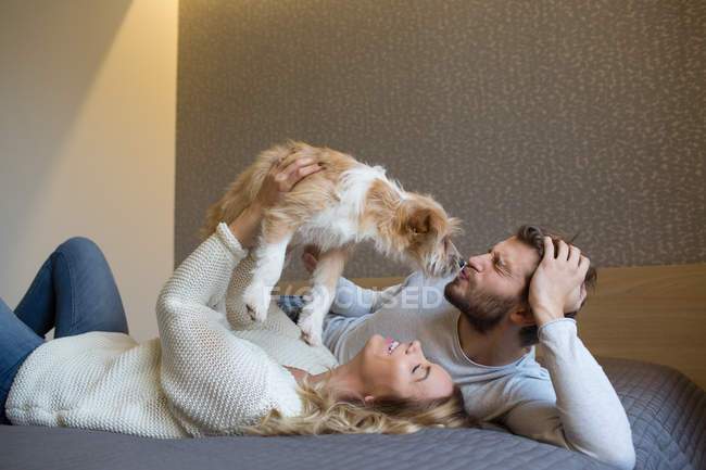 Casal acariciando cão no sofá — Fotografia de Stock