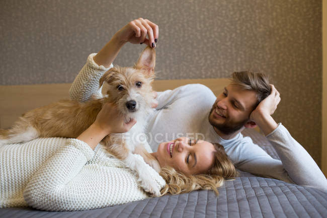 Пара погладжує собаку на дивані — стокове фото