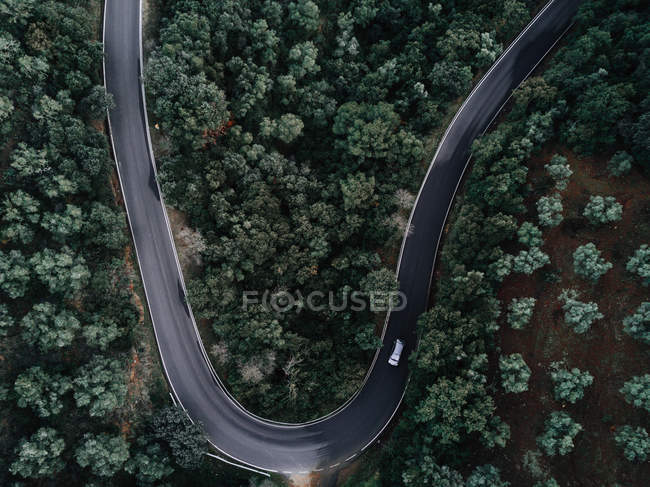 Strada che attraversa la foresta — Foto stock