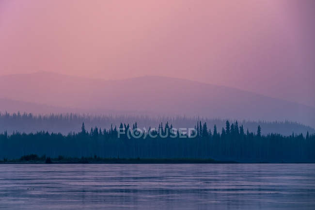 Bosques de coníferas en la orilla del lago - foto de stock