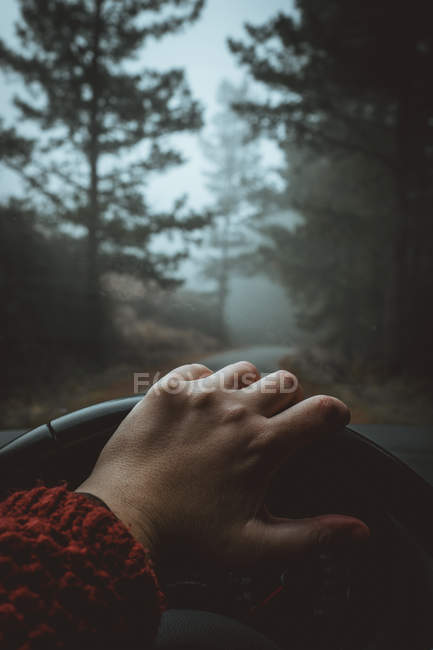Hand holding a steering wheel — Stock Photo