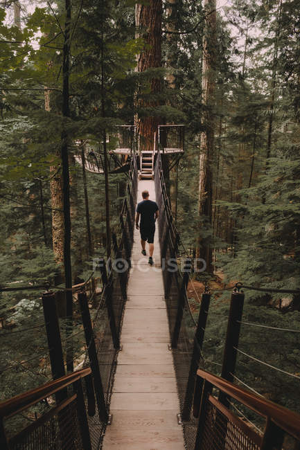 Uomo che cammina sul ponte sugli alberi — Foto stock