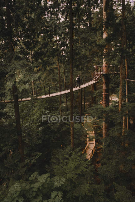 Person läuft unter Bäumen auf Brücke — Stockfoto