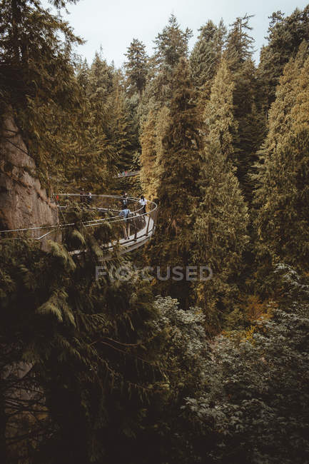 Petit sentier suspendu dans la forêt — Photo de stock