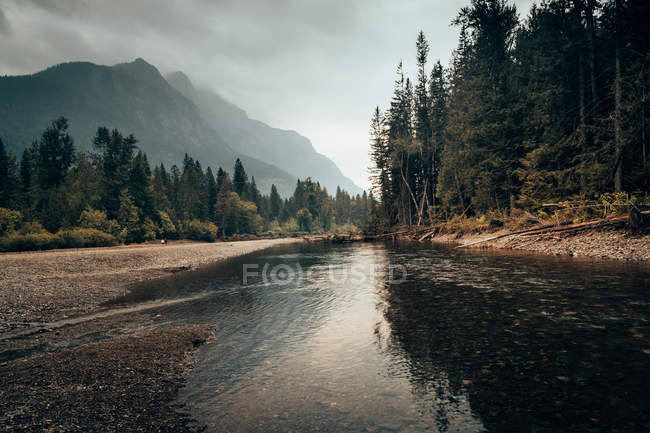 Agua que fluye tranquilamente en el valle de montaña - foto de stock
