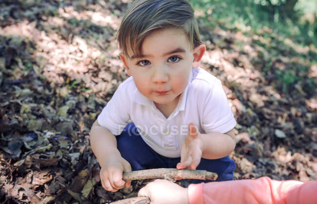 Portrait of lovely boy with tree branch in hand looking at camera on dry foliage in forest — Stock Photo