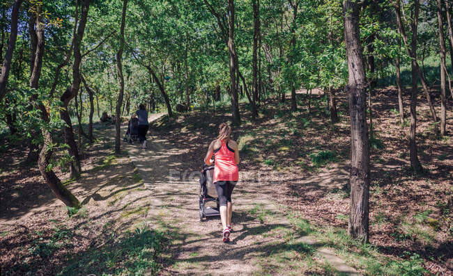 Вид сзади на двух здоровых мам с колясками, идущих вверх по холму в лесу — стоковое фото