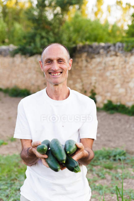 Smiling farmer holding squashes zucchini in hands — Stock Photo