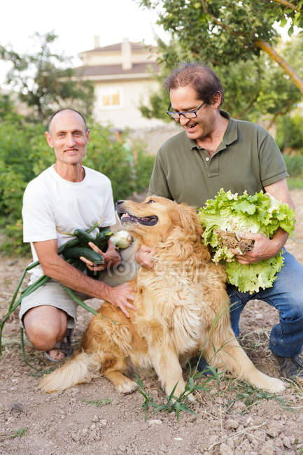 Cheerful farmers holding harvested vegetables and posing with retriever dog at garden — Stock Photo