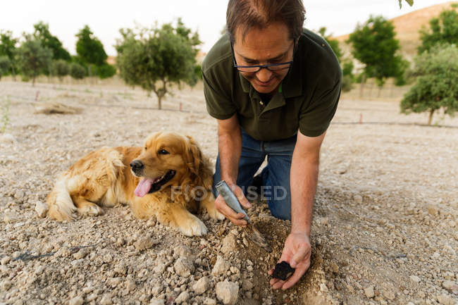 Hombre cavando hoyo en el suelo junto a Tgolden retriever - foto de stock