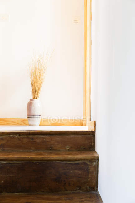 Біла смугаста ваза з сухою травою на дерев'яних сходах проти вікна — стокове фото