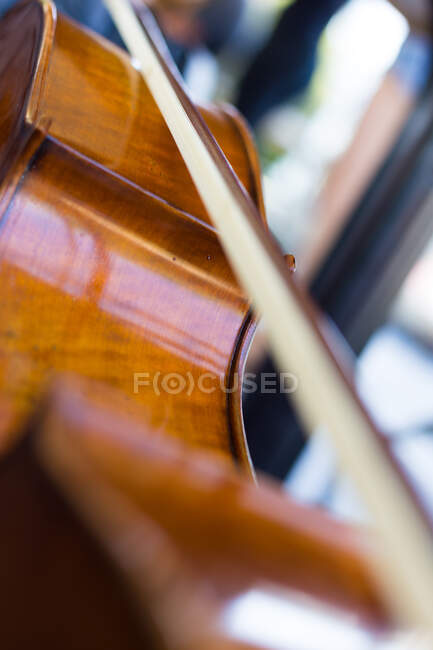 Closeup view young man with violin — Stock Photo