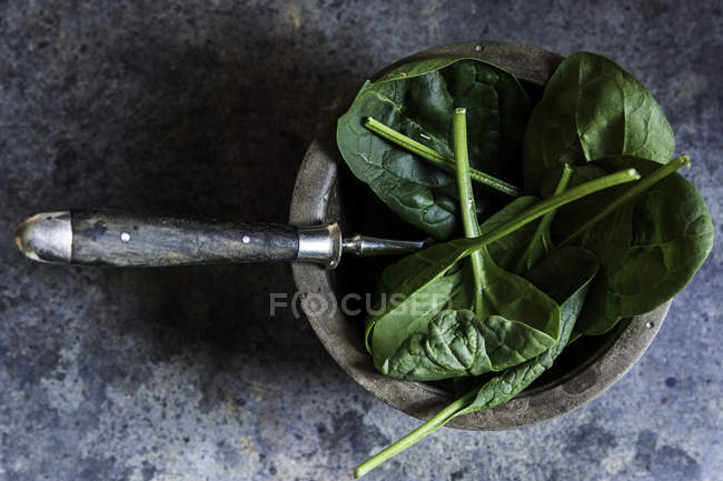 Spinaci freschi su stoviglie in cemento rustico — Foto stock