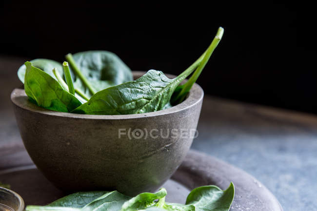 Fresh spinach on rustic concrete crockery — Stock Photo