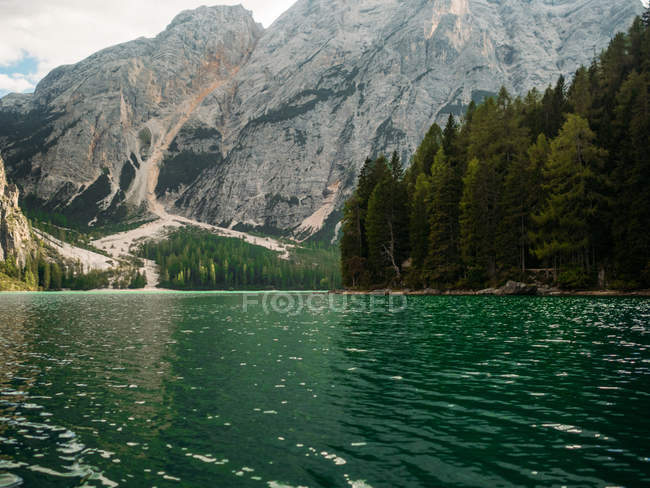 Vista incrível do lago com madeiras — Fotografia de Stock