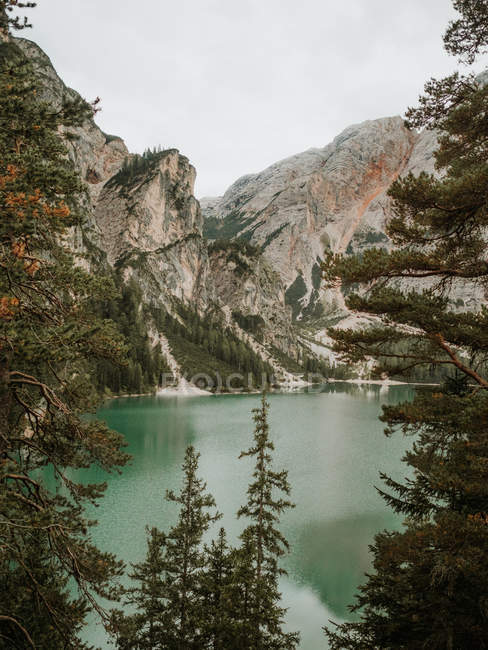Горное озеро в хвойных деревьях — стоковое фото