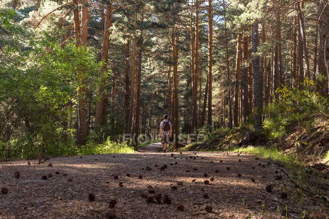 Man of adventure in forest — Stock Photo