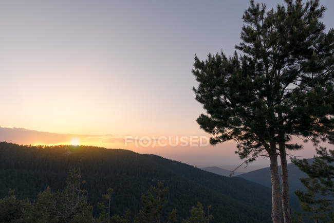 Beautiful sunrise in the morning clear sky — Stock Photo