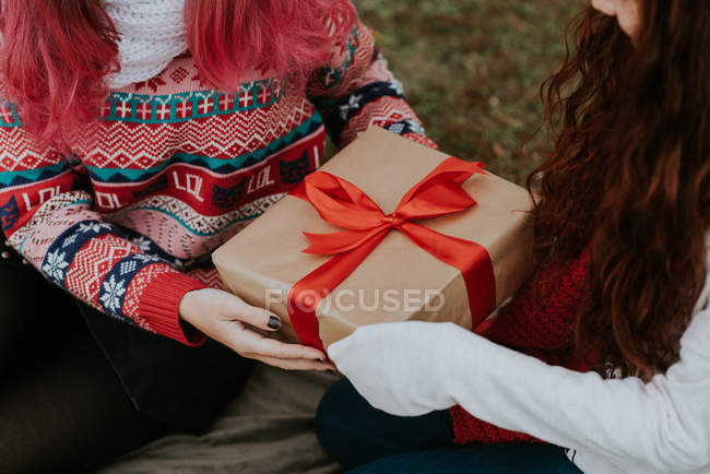 Mid section of girl giving gift with red ribbon to friend while sitting on ground in forest — Stock Photo