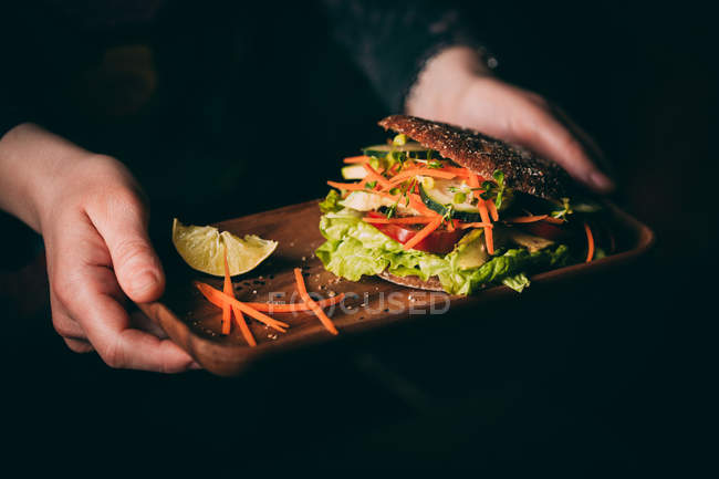 Bandeja con un sándwich vegetariano - foto de stock