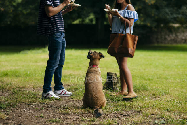Coppia con cane mangiare fuori — Foto stock