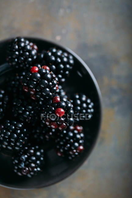 Top view fresh Blackberries — Stock Photo