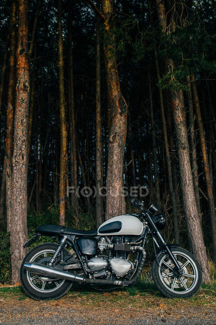 Caf motocyclette de course — Photo de stock