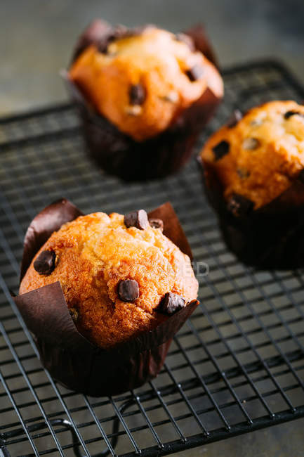 Muffins de chocolate, vista de perto — Fotografia de Stock