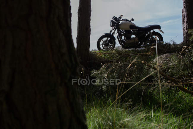 Caf motocyclette de course — Photo de stock