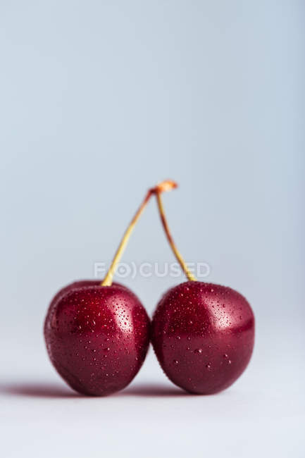 Fresh cherries in a light blue — Stock Photo