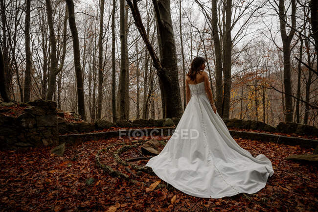 Joven novia hermosa en vestido de novia en el bosque de otoño - foto de stock