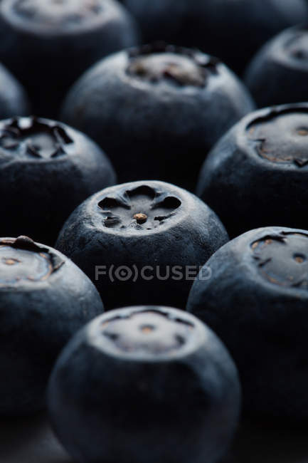 Macro shoot of a blueberries — Stock Photo