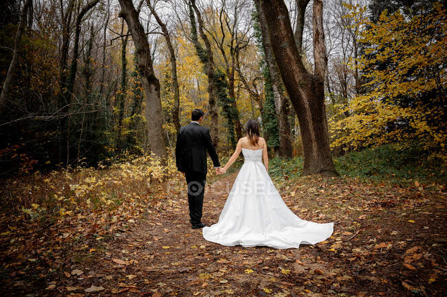 Sposa e Sposo Camminare per la foresta — Foto stock