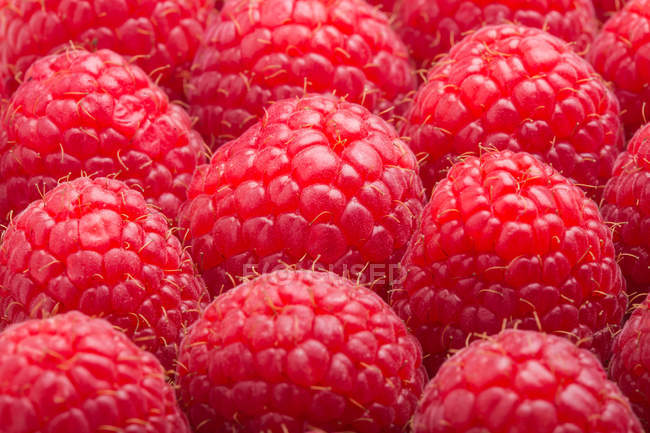 Macro of raspberries — Stock Photo