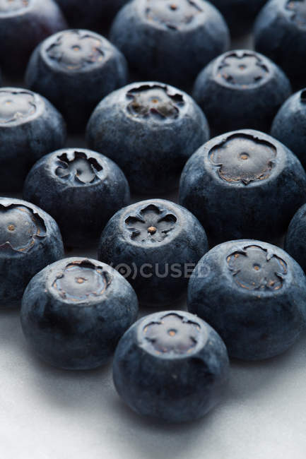 Macro shoot of a blueberries — Stock Photo