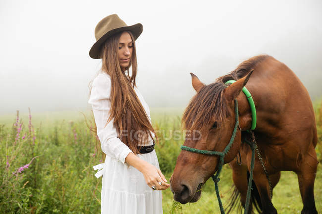 Brunette wearing white dress standing near brown horse against green field — Stock Photo