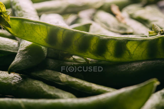 Ervilhas e vagens orgânicas frescas — Fotografia de Stock