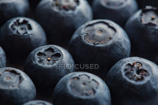 Macro shoot of fresh blueberries — Stock Photo