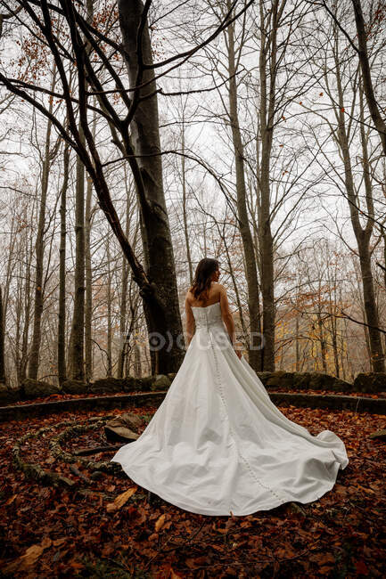 Giovane bella sposa in abito da sposa nella foresta autunnale — Foto stock