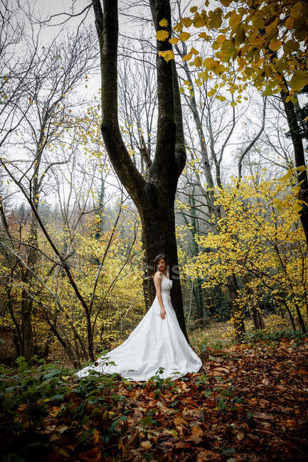 Young beautiful bride in wedding dress in autumn forest — Stock Photo