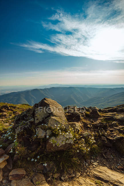 Boulder with flowers over scenic view of  mountains — Stock Photo