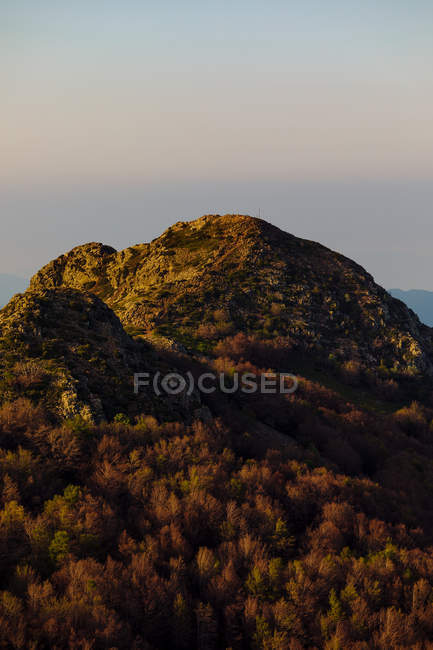 Montanha coberta de floresta — Fotografia de Stock